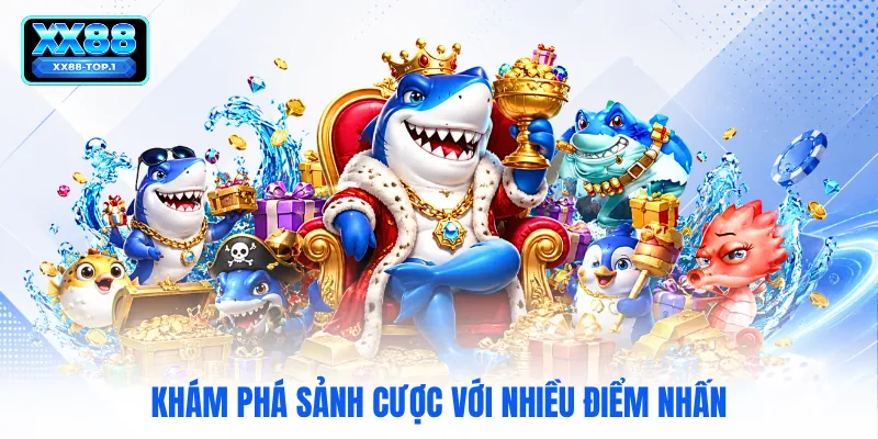Khám phá sảnh cược với nhiều điểm nhấn