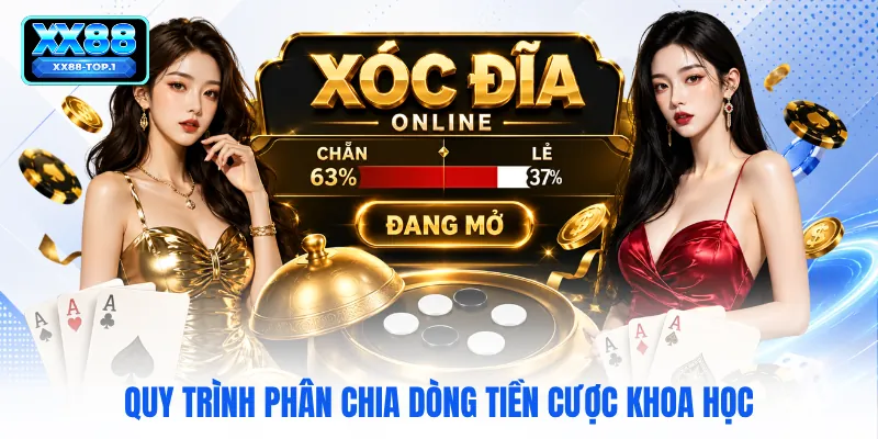 Quy trình phân chia dòng tiền cược khoa học